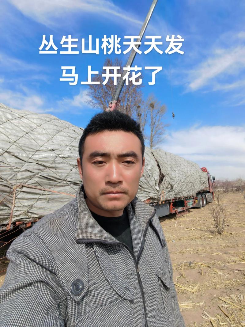苗圃基地:绿意盎然的产业新景